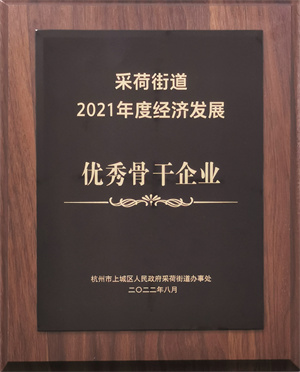喜訊玖玖资源站在线中文字幕！杭州鯤騰建筑有限公司榮獲上城區(qū)采荷街道“2021年度經(jīng)濟(jì)發(fā)展優(yōu)秀骨干