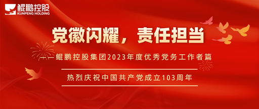 黨徽閃耀，責任擔當